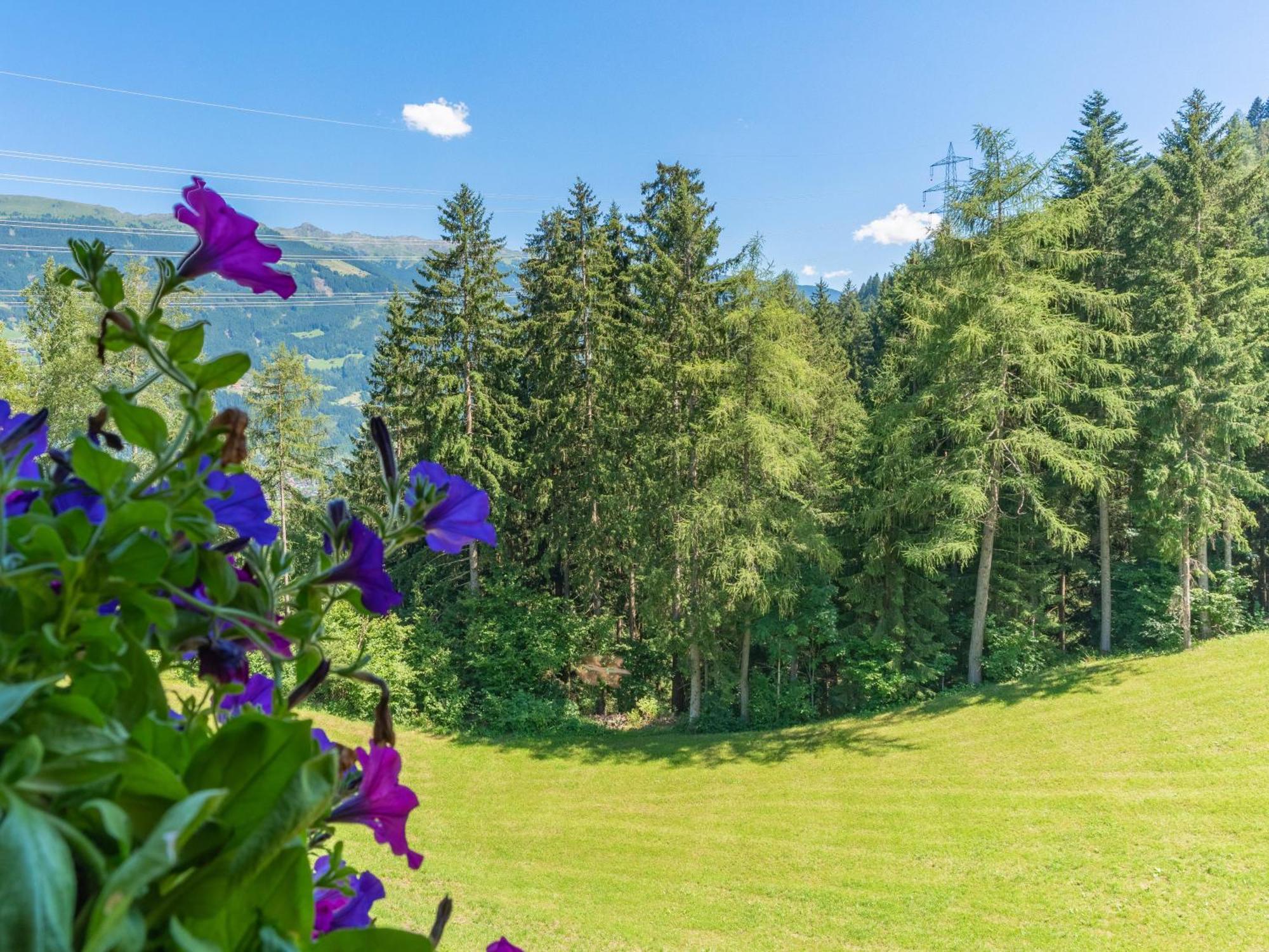 Wieshof Kaltenbach Rom bilde