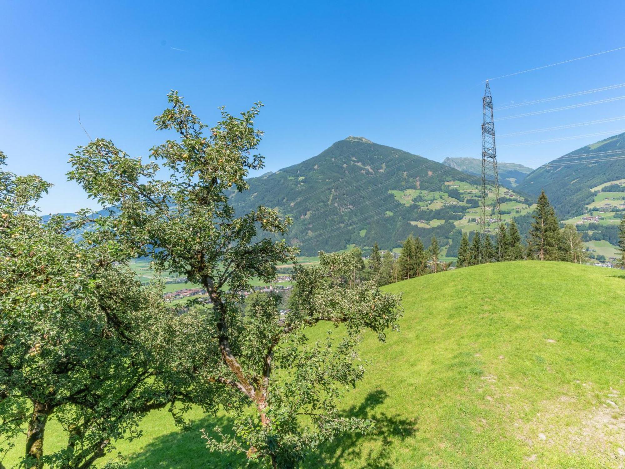 Wieshof Kaltenbach Rom bilde