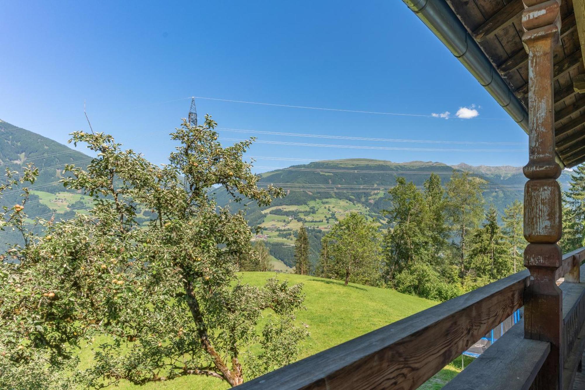 Wieshof Kaltenbach Rom bilde